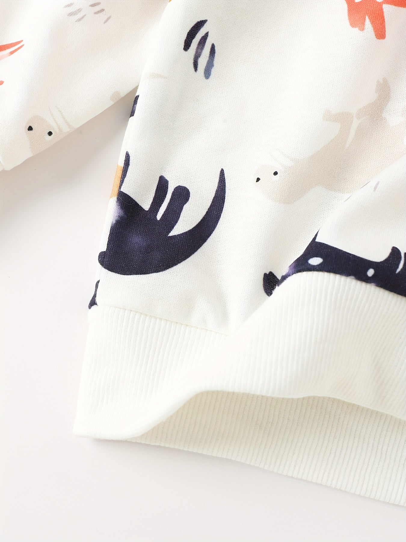 Baby Boy Dinosaur Sweatshirt Long Sleeve Pullover