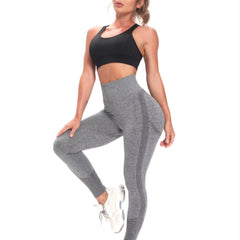 Seamless High Waist Yoga Legging Sports Fitness Legging