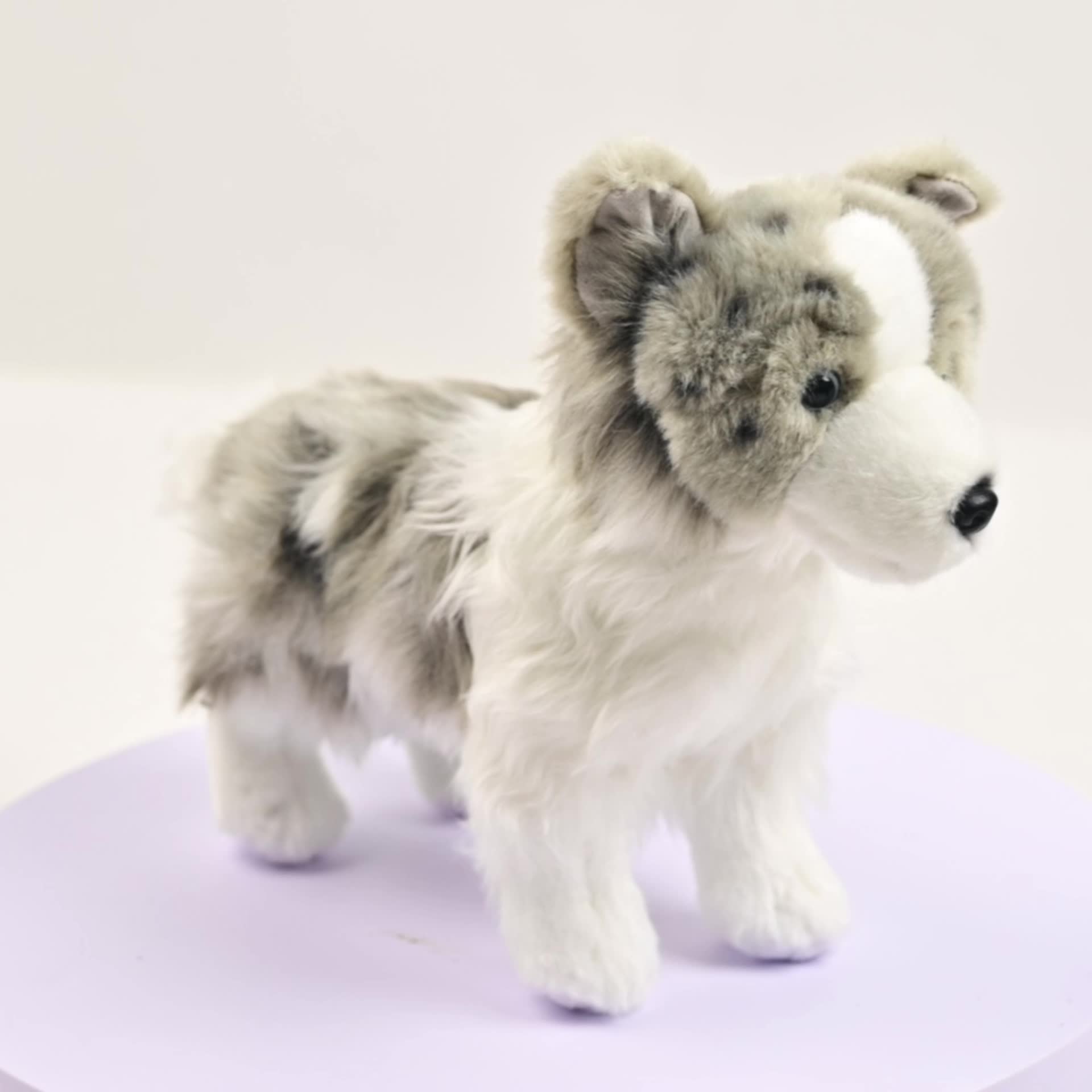 Realistic Border Collie Plush Toy Ultra Soft Stuffed Animal