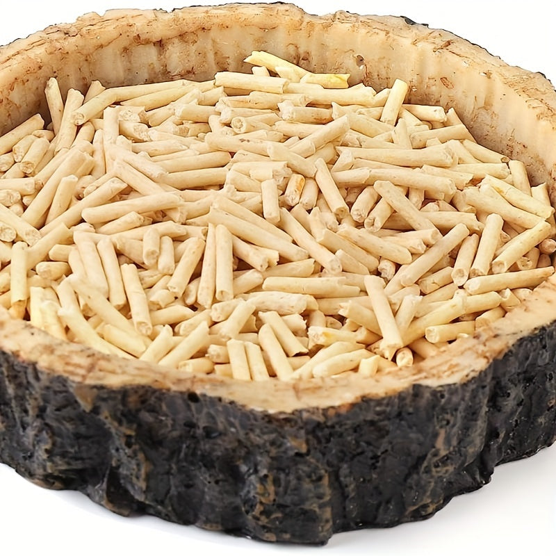 Reptile Food & Water Dish for Lizards, Dragons, Snakes