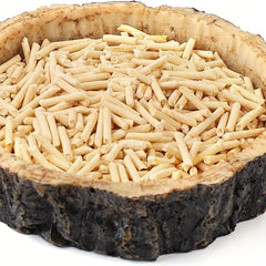 Reptile Food & Water Dish for Lizards, Dragons, Snakes