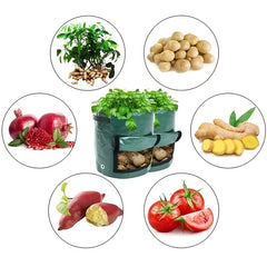 Reusable Potato Planting Pouches - Fun for Kids & Adults