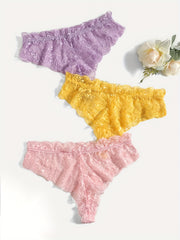 3 Pack Plus Size Lace Trim Briefs Set Women's Plus Sexy Panties Set