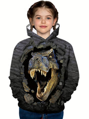 3D Dinosaur Kid's Hoodie Long Sleeve Top Boy's Clothes