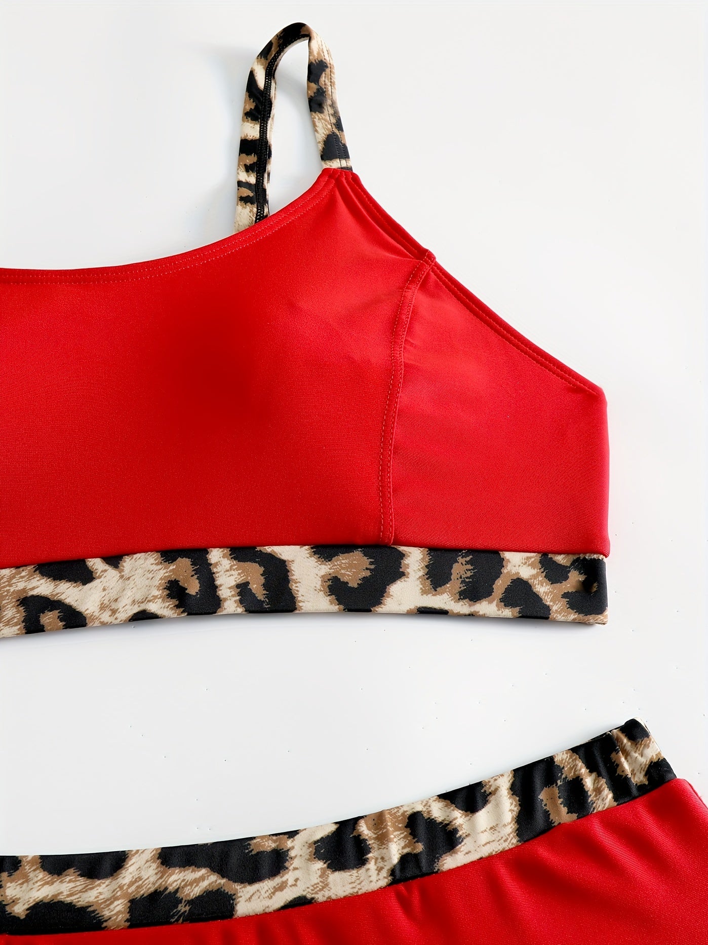 Colorblock Leopard Print Bikini Set