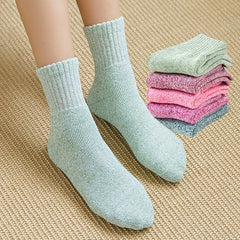 5 Pairs Solid Mid Tube Socks Women's Stockings