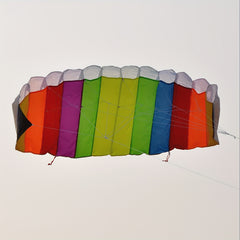 Colorful Dual Lines Kite with D Handles and Flying Lines