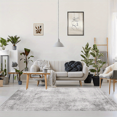 Modern Gray Large Area Carpet Machine Washable Living Room Bedroom Study