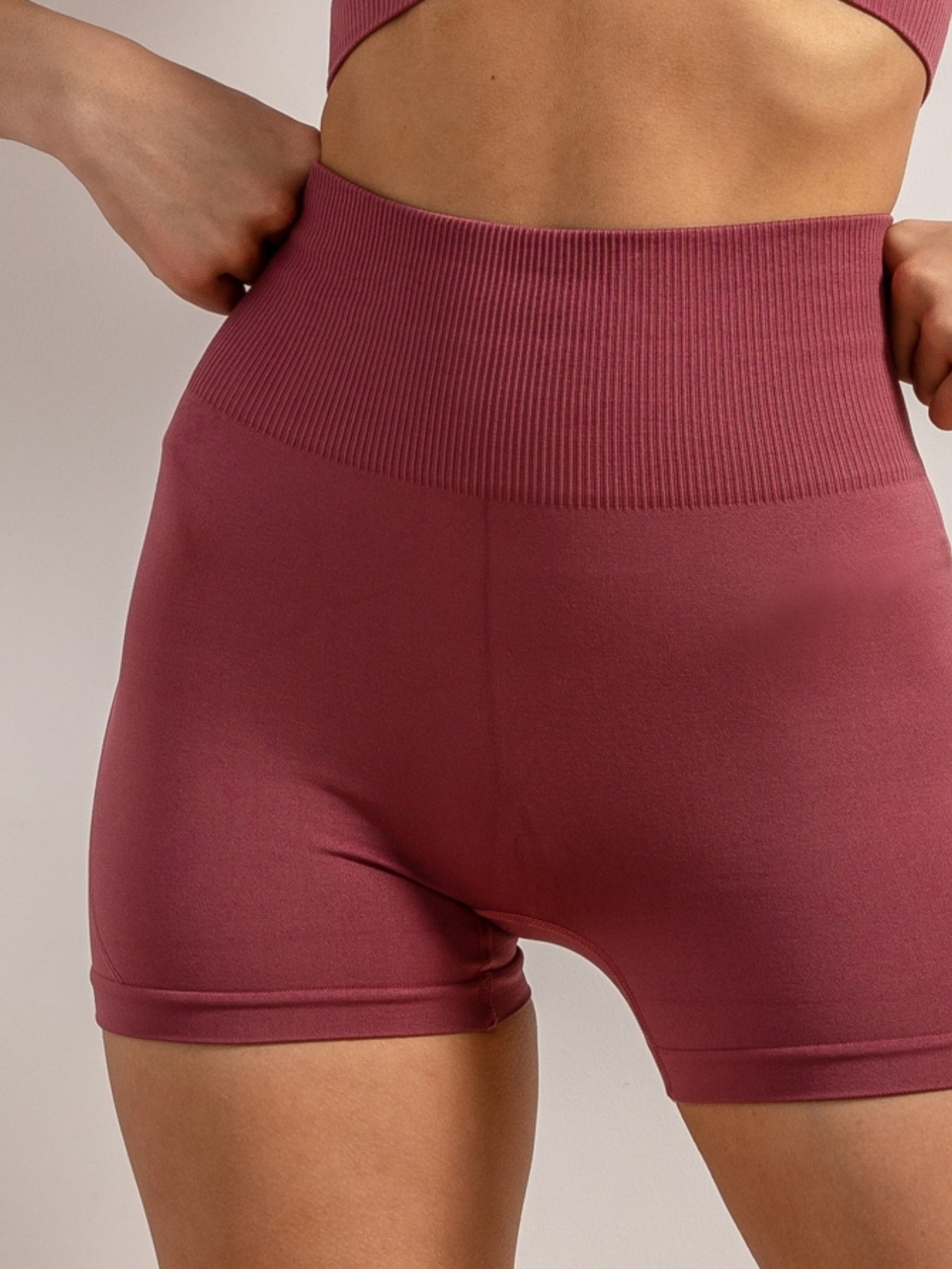 Seamless Sports Shorts High Waist Butt Lifting Biker Shorts Women's Activewear
