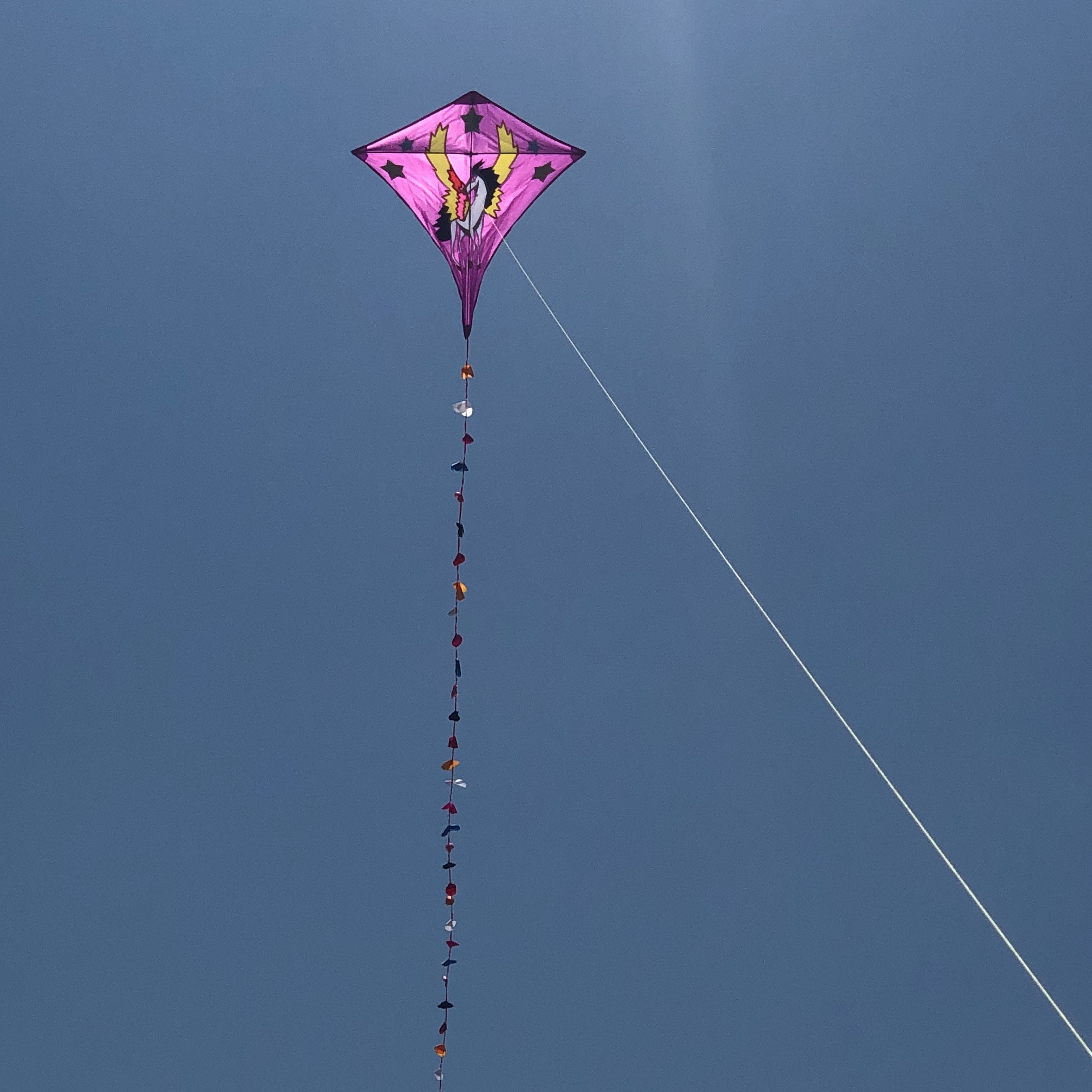 Sky Horse Kite 30m Flying Line D handle Beach Park Yard Outdoor Entertainment