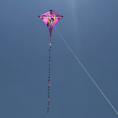 Sky Horse Kite 30m Flying Line D handle Beach Park Yard Outdoor Entertainment