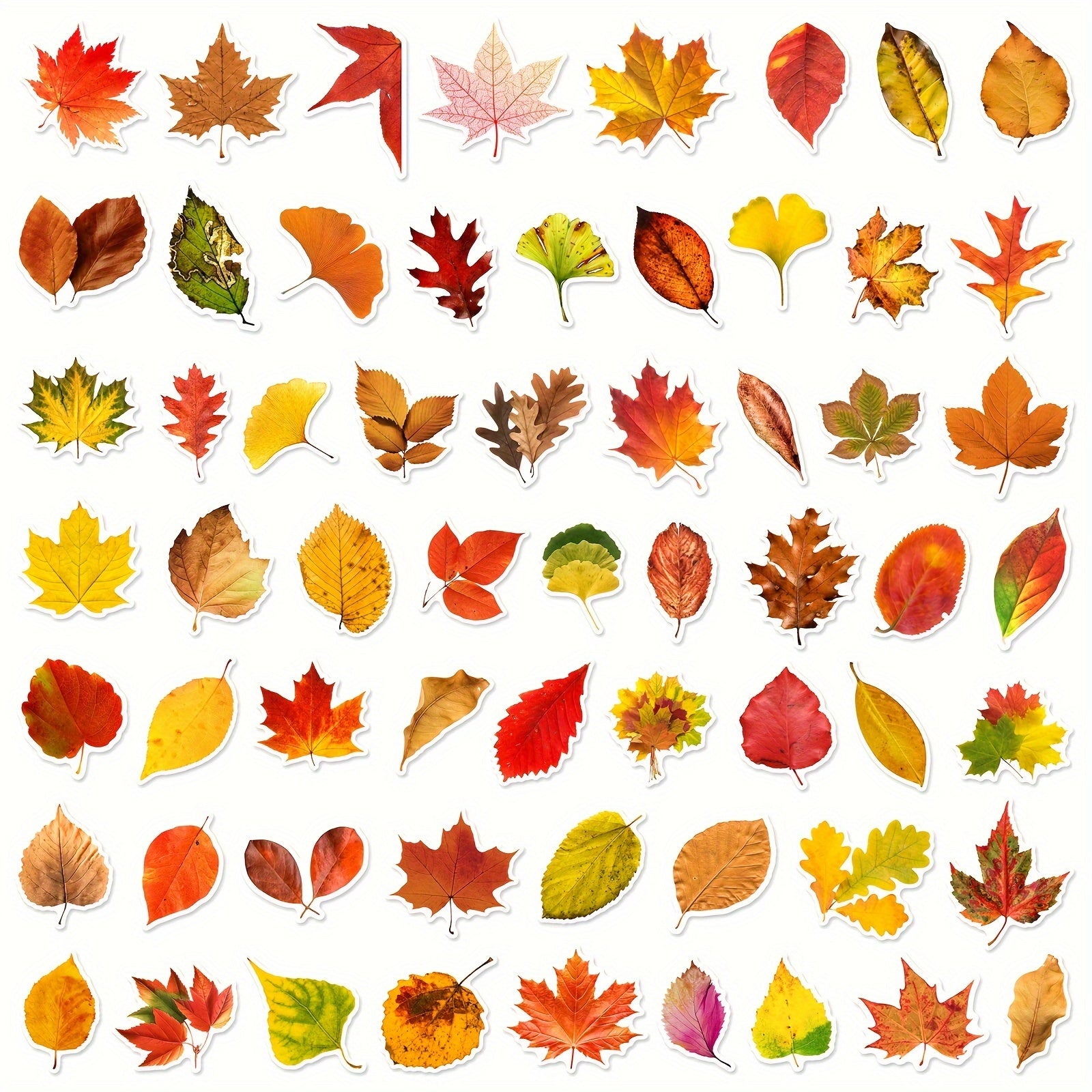 60pcs Leaf Graffiti Stickers DIY Pack for Guitar Skateboard Phone