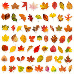 60pcs Leaf Graffiti Stickers DIY Pack for Guitar Skateboard Phone