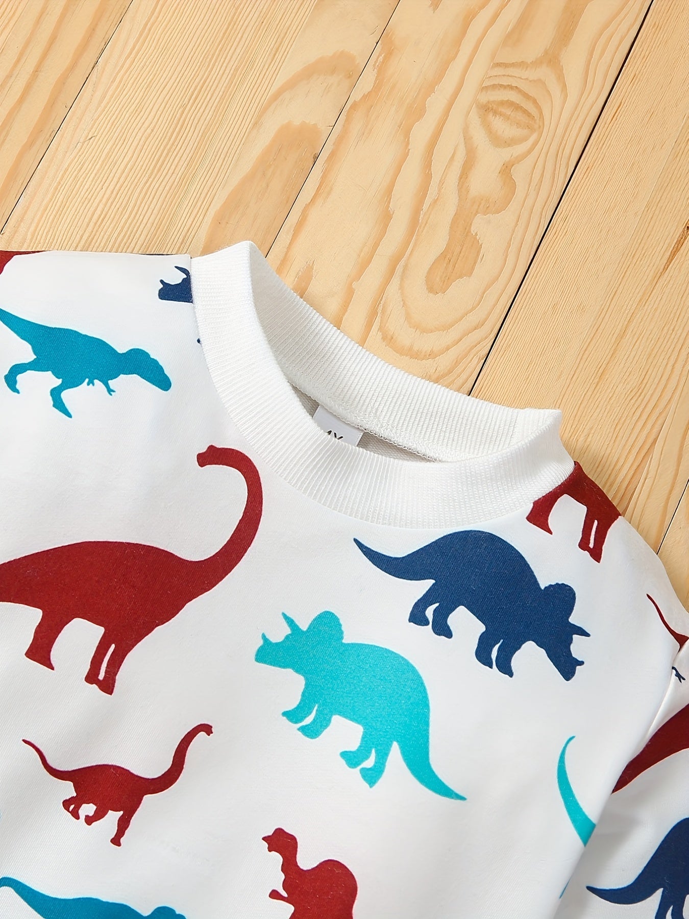 Toddler Boy's Dino Sweatshirt & Sweatpants Set for Spring Fall