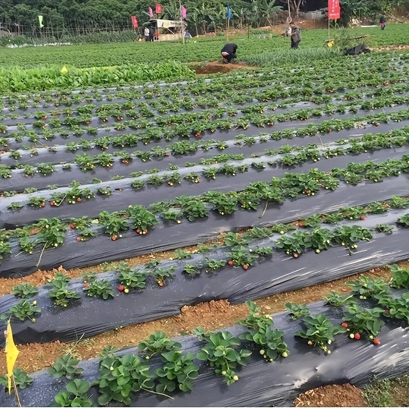 Plastic Film Garden Weed Control Barrier for Planting & Mulching