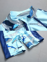 Boy's Whale Graphic One Piece Swimsuit Short Sleeves Zip Up Swimwear