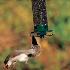 Rotating Squirrel-Proof Bird Feeder for Outdoors