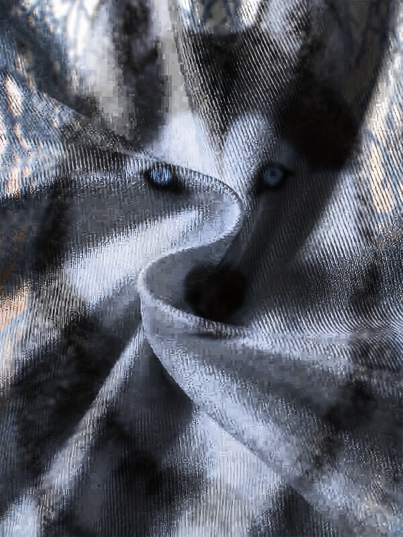 3D Winter Husky Pattern Sweatshirt For Kids Unisex Pullover