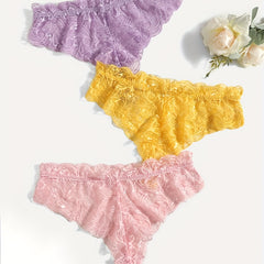 3 Pack Plus Size Lace Trim Briefs Set Women's Plus Sexy Panties Set