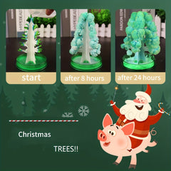 Kids Crystal Planting Set - Grow Christmas Tree in 24 Hours