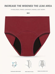 4pcs Period Panties Anti Leak Women's Lingerie