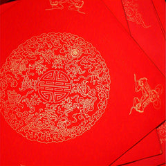 20pcs Red Spring Blank Rice Paper Spring Couplet for Winter Christmas Decor