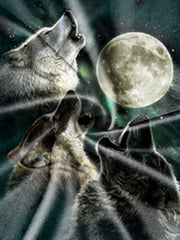 Boys' Wolf & Moon 3D Print T Shirt for Outdoor Summer Fun