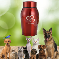 Stainless Steel Pet Urn Dog Ashes Container Ashes Holder