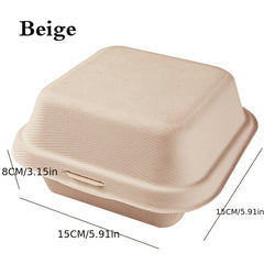10pcs Disposable Cake Box Paper Pulp Hand Painted Biodegradable