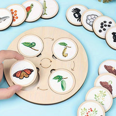 Wooden Life Cycle Board Game Kit for Ages 3 Biology Science Teaching Toy