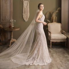 Mesh Long Cathedral Style Bridal Veil with Comb