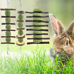 Bunny Rabbit Chew Toys for Teeth Grinding Wood Timothy Grass Treats