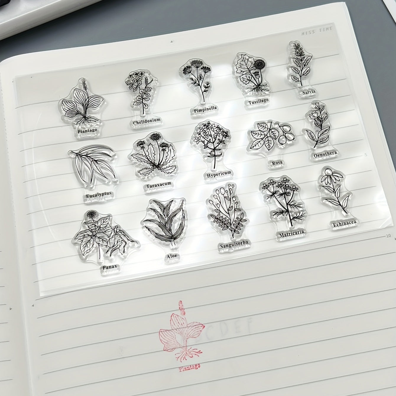 Transparent Plant Silicone Stamp for DIY Handbook Seal