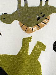 Boys Dinosaur Graphic Sweatshirt Long Sleeve Top for Spring and Autumn