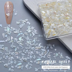 3D Irregular Shell Resin Patches Resin Beads Charms Chips
