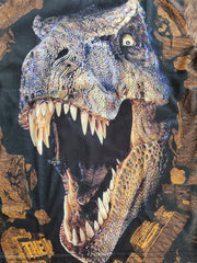Kids Dinosaur Graphic T-shirt Short Sleeves Crew Neck