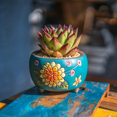 Hand Painted Yanxi Flowerpots Creative & Breathable