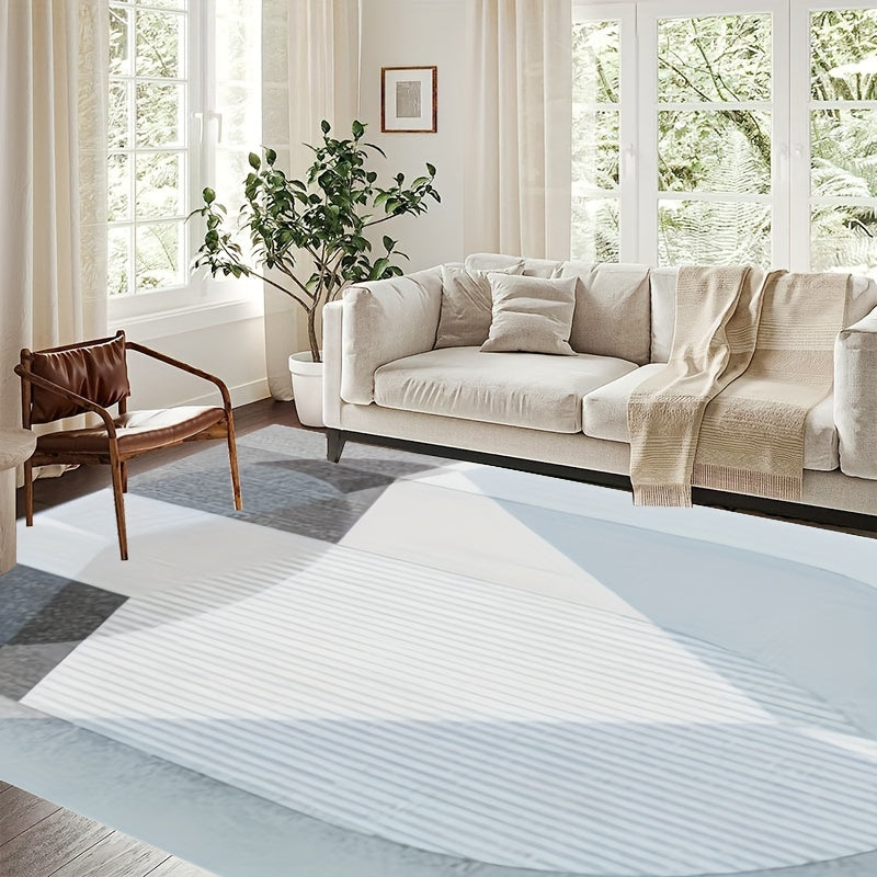 Soft Fluffy Plush Area Rug Modern Shaggy Indoor Rug Anti Skid Fuzzy Carpet