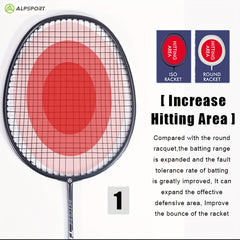 ALP RR 2pcs Badminton Rackets With Bag for Beginner Training