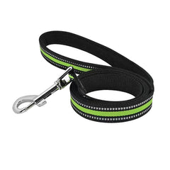 Heavy Duty Reflective Nylon Dog Leash for Large & Medium & Small Dog