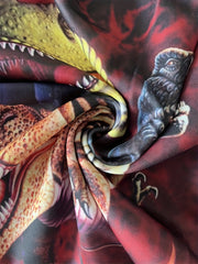 Kids Dragon Hoodie Long Sleeved Casual Sweatshirt 4-14 Yrs