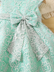 Girls Lace Mesh Flutter Sleeve Bow Front Party Princess Dress