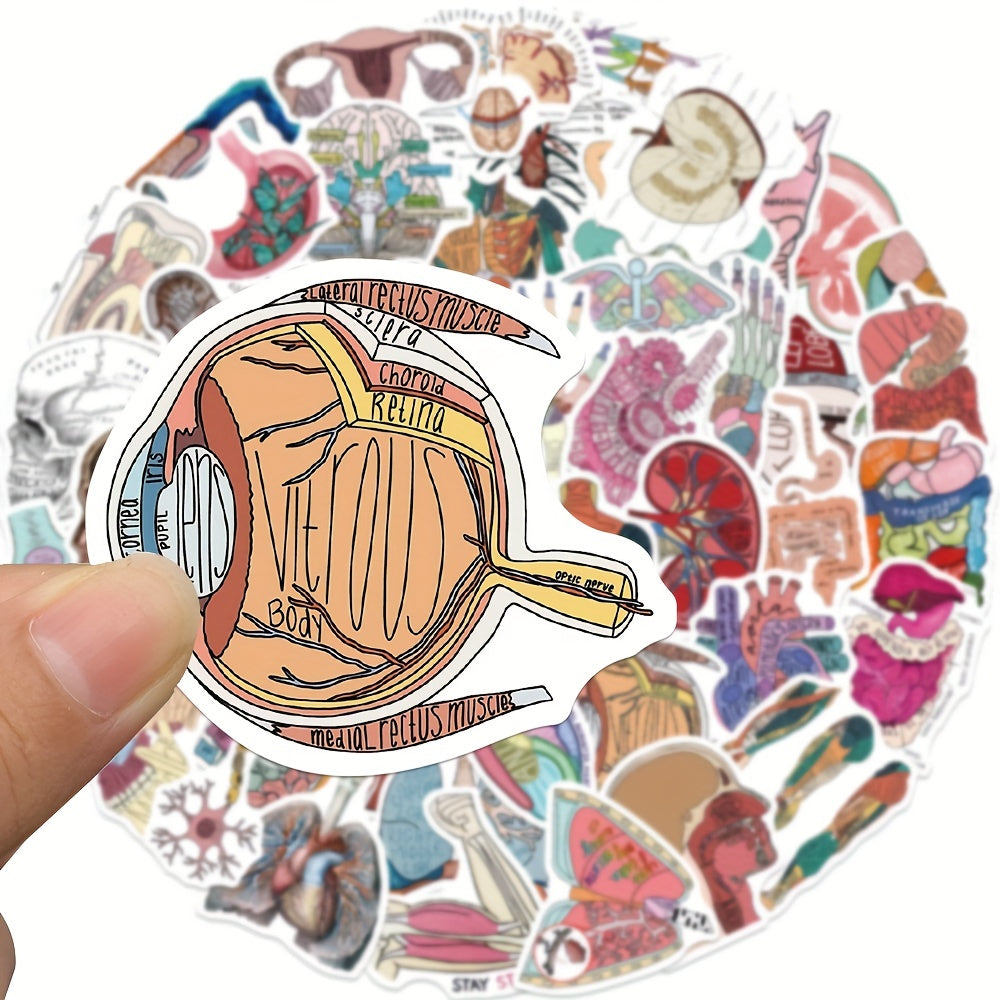 50pcs Anatomy Organ Doodle Stickers for Guitar Laptop Water Cup Luggage Helmet