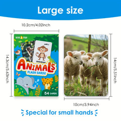 Animals Flashcards Real Photos & Cartoon Double Sided Baby Learning Cards