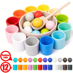 Rainbow Ball Matching Toy Set for Fine Motor Skills