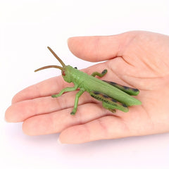 3-4 Inch Simulated Grasshopper Insect Model Toy - Christmas Halloween Gift