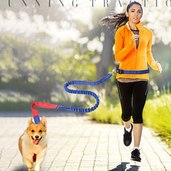 Elastic Pet Dog Leash for Outdoor Running and Walking