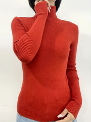 Solid Turtleneck Sweater Casual Long Sleeve Sweater For Fall & Winter