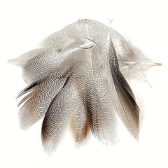 50pcs Spotted Tying Features For Flies Bait Hook Fly Tying Material