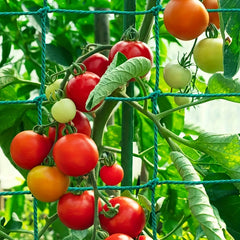 Heavy Duty Garden Trellis Netting for Climbing Plants